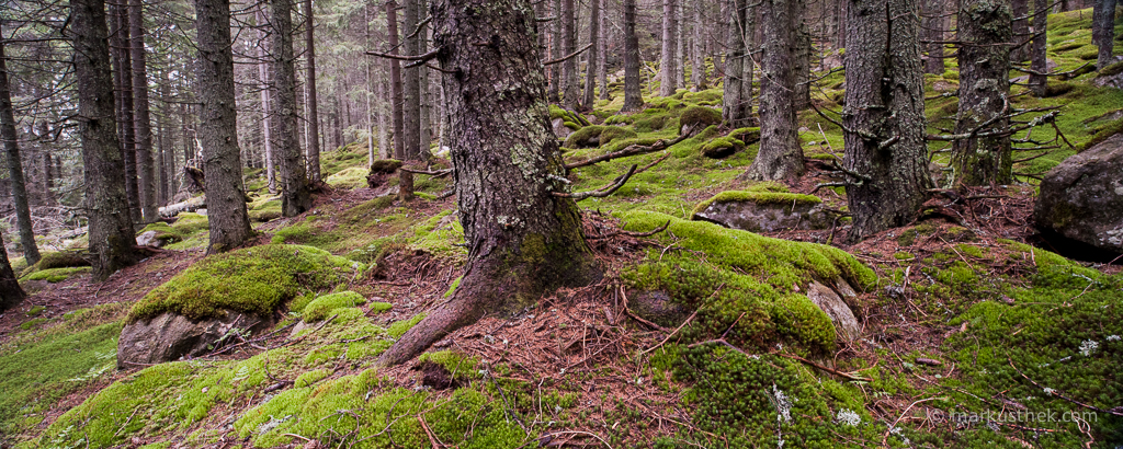 Stanisoara-Tal, Retezat National Park - Südkarpaten - Rumänien, Ein lohnendes Ziel für Fotografen, die sich den Naturlandschaften widmen.