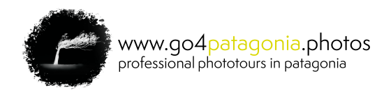 Logo Go 4 Patagonia