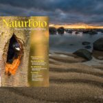 Tolle Landschaftsfotografien über Chile gibt es in dieser Ausgabe des NaturFoto-Magazins.
