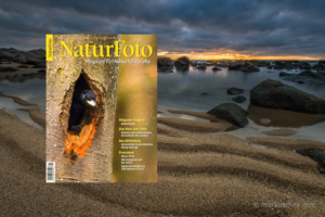 Großartige Landschaften gibt es auch im Zentrum von Chile, das bei Naturfotografen noch eher unbekannt ist. Landschaftsfotograf Markus Thek zeigt in diesem Fotobeitrag im NaturFoto-Magazin reizvolle Naturlandschaften.